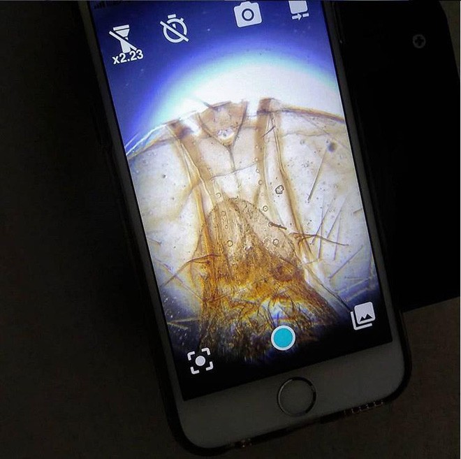Camera smartphone có thể soi ra vi khuẩn, nghe vô lý nhưng lại rất thuyết phục! - Ảnh 1.
