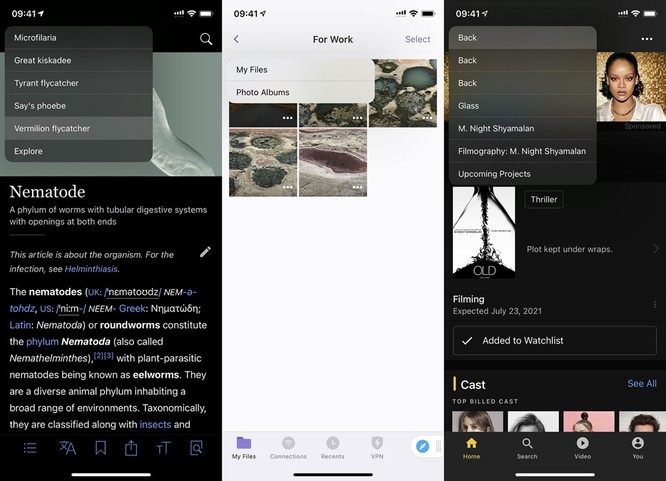 Mẹo quay về màn hình chính của Settings và các ứng dụng khác nhanh hơn trên iOS 14 ảnh 3