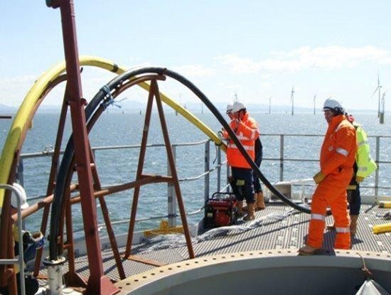 Hai tuyến cáp quang biển quốc tế APG, IA đã được sửa xong ảnh 1
