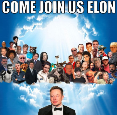 Loan tin Elon Musk qua đời để thao túng cổ phiếu Tesla ảnh 2