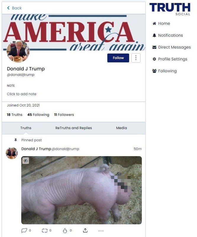 Mạng xã hội của ông Trump bị hack khi vừa ra mắt ảnh 1