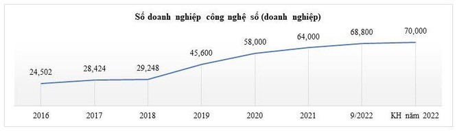 Việt Nam sắp đạt mục tiêu 70.000 doanh nghiệp công nghệ số trong năm 2022 ảnh 2