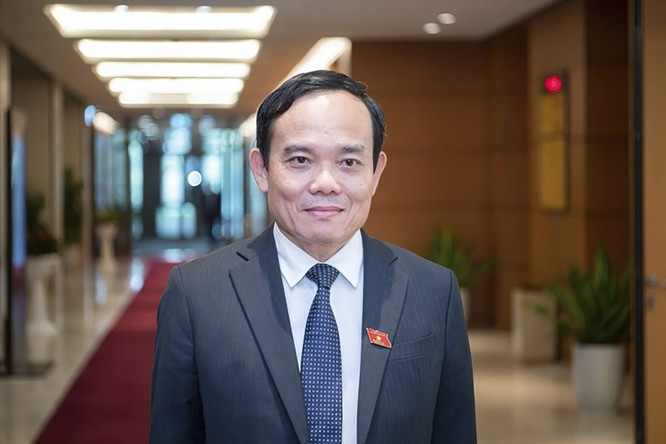 Chính phủ phân công nhiệm vụ cho các Phó Thủ tướng ảnh 3