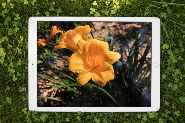 Đánh giá iPad Pro 12.9: màn hình khủng, chơi game tuyệt vời ảnh 8