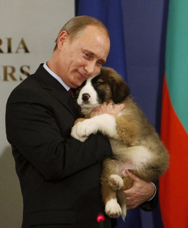 V.Putin - chỉ là người bình thường ảnh 32