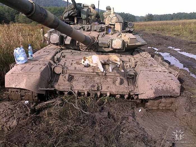 Tăng T-90 Việt Nam tính mua - “hung thần” uy mãnh trên chiến trường ảnh 3