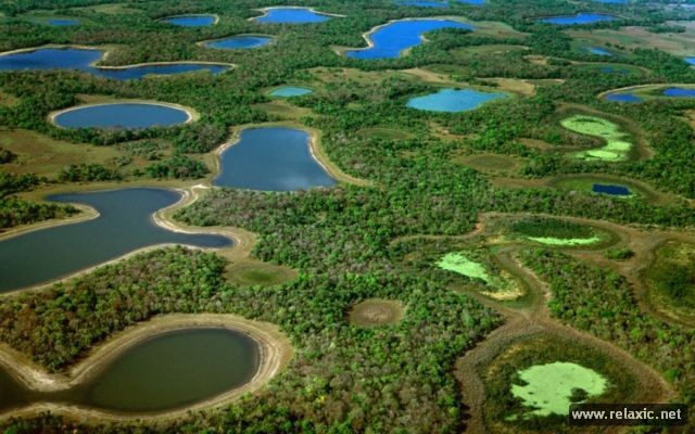 Kỳ thú khu tự nhiên hoang dã Pantanal - Brazil ảnh 6