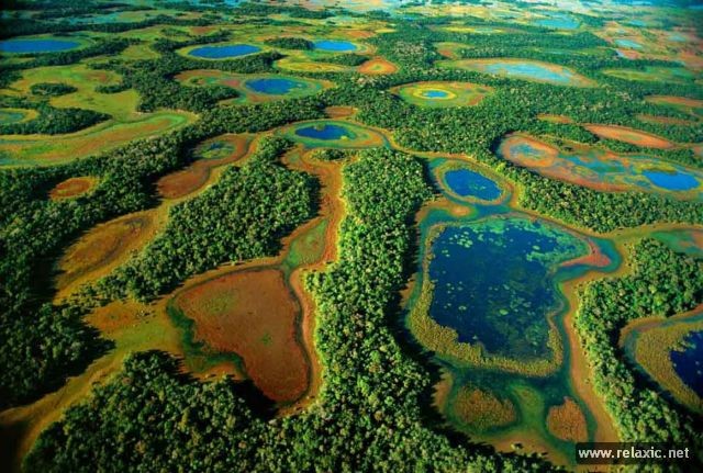 Kỳ thú khu tự nhiên hoang dã Pantanal - Brazil ảnh 7