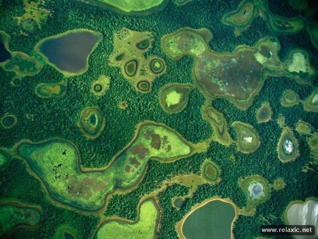 Kỳ thú khu tự nhiên hoang dã Pantanal - Brazil ảnh 9