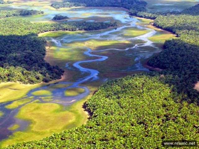 Kỳ thú khu tự nhiên hoang dã Pantanal - Brazil ảnh 12