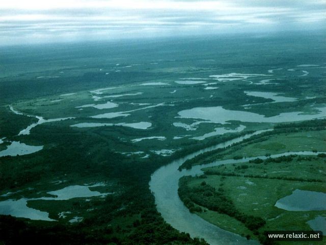 Kỳ thú khu tự nhiên hoang dã Pantanal - Brazil ảnh 34