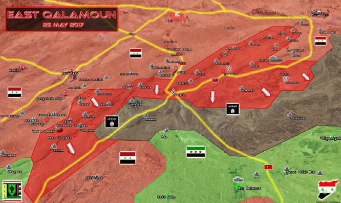 Trực thăng Nga săn diệt IS, quân đội Syria giải phóng 3.500 km2 nam Palmyra ảnh 2