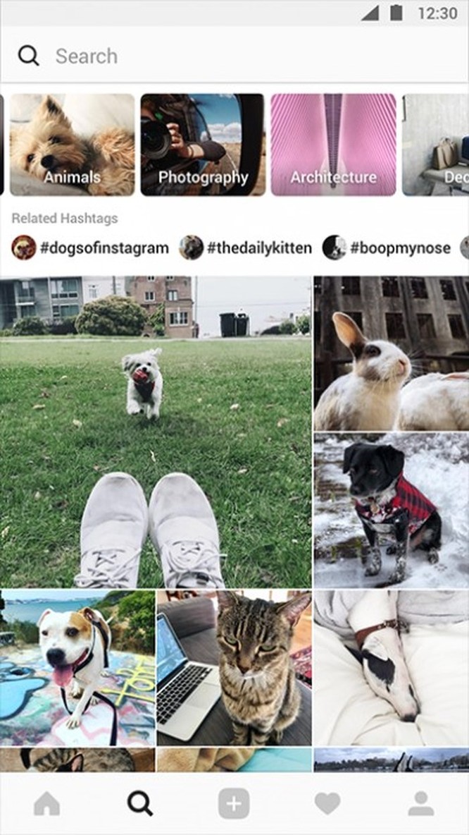 Instagram công bố một loạt tính năng mới thú vị ảnh 3