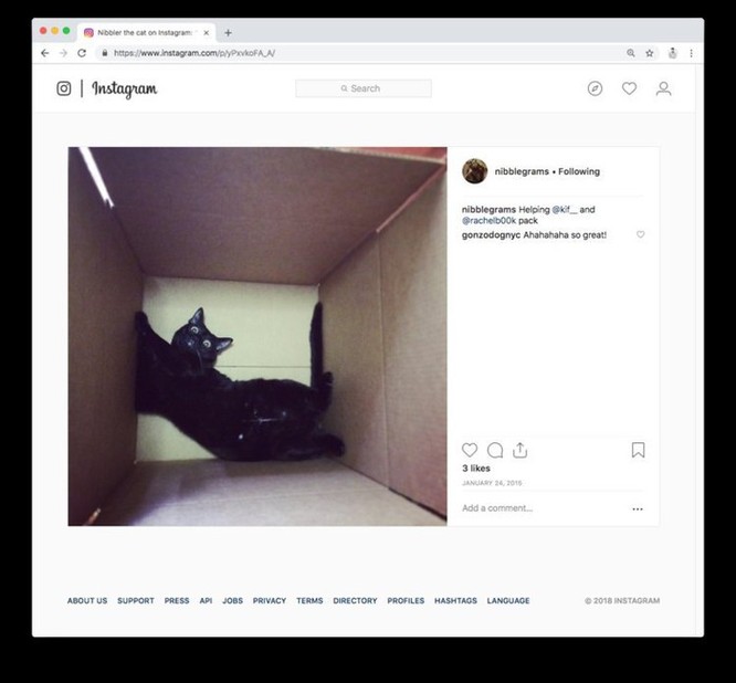 Cách tải ảnh Instagram về máy nhanh nhất bằng Chrome ảnh 2