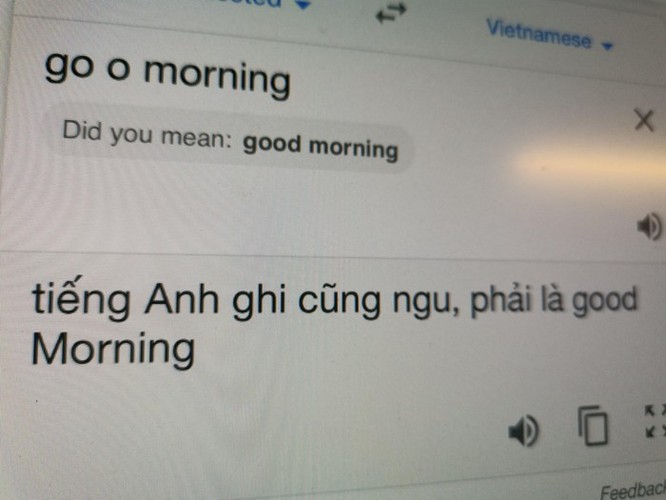 Google Dịch tiếng Việt đang bị phá hoại ảnh 1