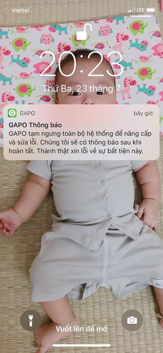Gặp nhiều lỗi trong ngày đầu ra mắt, MXH Gapo thông báo bảo trì hệ thống ảnh 1