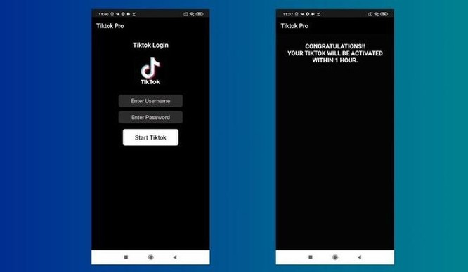 Ứng dụng giả mạo TikTok lan truyền khắp Ấn Độ sau lệnh cấm ảnh 1