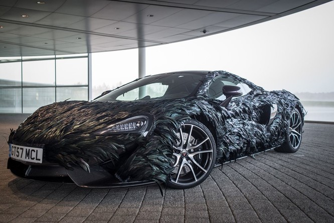 Siêu xe McLaren 570GT thân phủ lông vũ ảnh 1