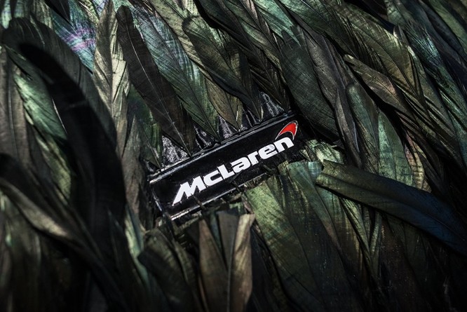 Siêu xe McLaren 570GT thân phủ lông vũ ảnh 2