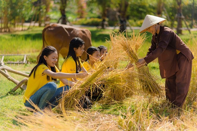 Câu chuyện ngày hè theo mẹ ra đồng gặt lúa đầy ắp kỷ niệm trong ký ức mỗi người Việt Nam được “kể” bằng hành động trực quan ngay tại Vinpearl Land Nam Hội An.