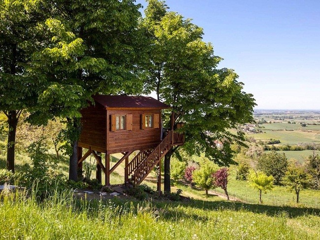 35 ngôi nhà trên cây tuyệt đẹp khiến bạn muốn sống thử một lần ảnh 15