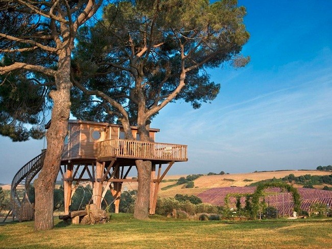 35 ngôi nhà trên cây tuyệt đẹp khiến bạn muốn sống thử một lần ảnh 23