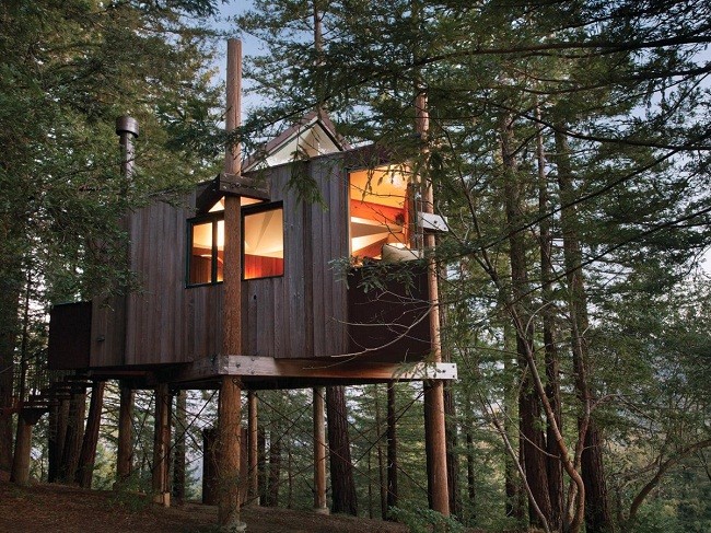 35 ngôi nhà trên cây tuyệt đẹp khiến bạn muốn sống thử một lần ảnh 9
