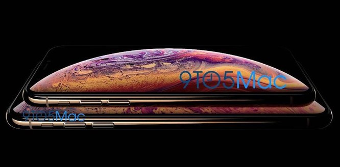 Apple “vô tình” làm lộ hình nền và màu vỏ iPhone mới ảnh 1