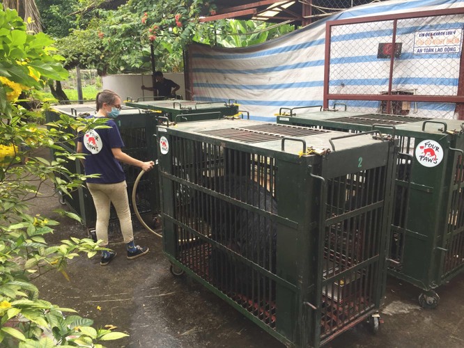 Năm 2020, ENV giải cứu và tịch thu hơn 1.100 cá thể động vật hoang dã ảnh 1