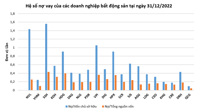 Cận cảnh nợ vay của các đại gia địa ốc ảnh 2