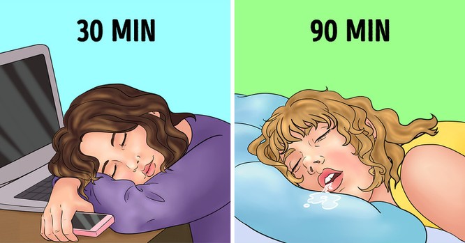 Những loại giấc ngủ khác nhau và ảnh hưởng của chúng đến cơ thể ảnh 2