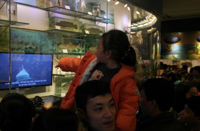 Bảo tàng Thiên nhiên quá tải vì dân đến xem cụ Rùa ảnh 3