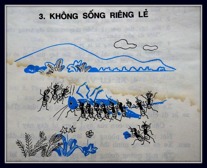 Bồi hồi gặp lại những trang sách "đi cùng năm tháng" ảnh 5