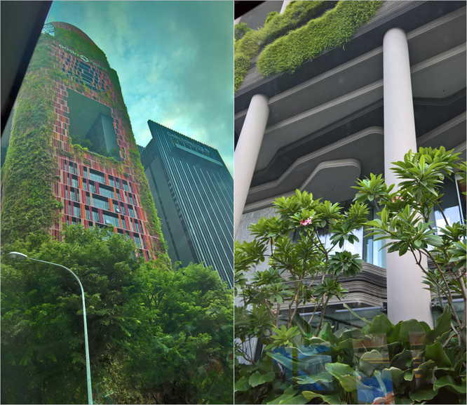 “Lạc lối” góc nhỏ bình yên ở Singapore thời CMCN 4.0 ảnh 2