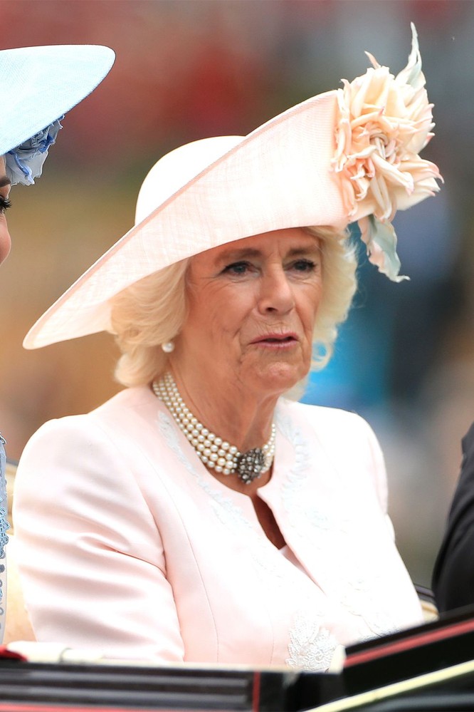 Những chiếc mũ gây ấn tượng nhất từ Royal Ascot 2019 ảnh 10