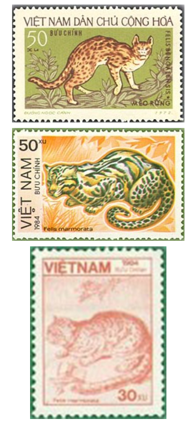 Tết Quý Mão, ngắm mèo trên tem Bưu chính Việt Nam ảnh 1
