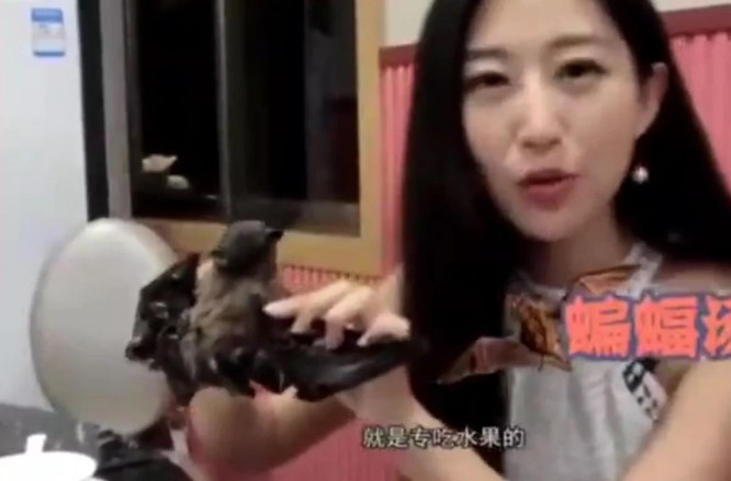 Wang Mengyun, người nổi tiếng trên mạng xã hội Trung Quốc, trong một đoạn video ăn món canh dơi (Ảnh: SCMP)