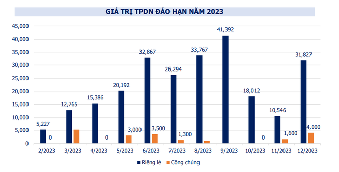Không có doanh nghiệp nào phát hành trái phiếu trong tháng 1/2023 ảnh 1