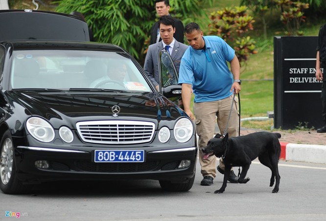 Đội chó nghiệp vụ K9 cũng được triển khai đến khách sạn, sân bay Nội Bài và nhiều địa điểm khác để kiểm tra mọi chiếc xe ra vào nơi tổng thống Mỹ đang lưu trú. Hầu hết chúng là chó dòng bergie Đức, được huấn luyện kỹ càng để dò tìm các mối đe dọa như bom, mìn...