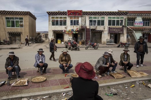 Sau quá trình tìm kiếm vất vả, người dân Tây Tạng sẽ đem những gốc đông trùng hạ thảo ra chợ bán.