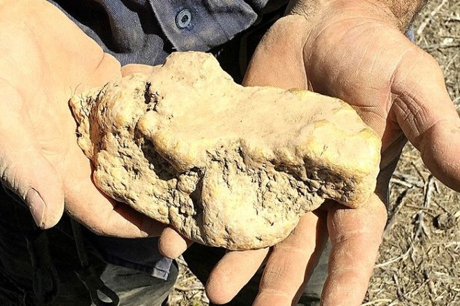 Australia: Phát hiện một cục vàng tự nhiên nặng tới 4 kg ảnh 1