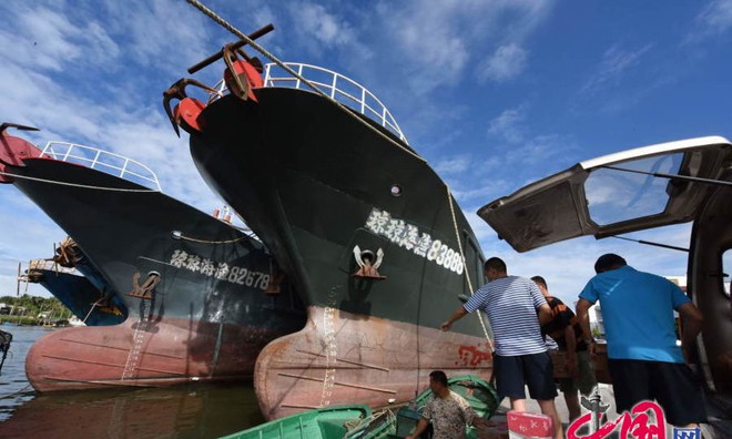 Tàu cá Trung Quốc rầm rộ ra Biển Đông ảnh 4