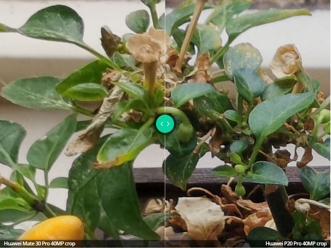 So sánh camera trên 2 chiếc máy Huawei P20 Pro và Huawei Mate 30 Pro ảnh 7