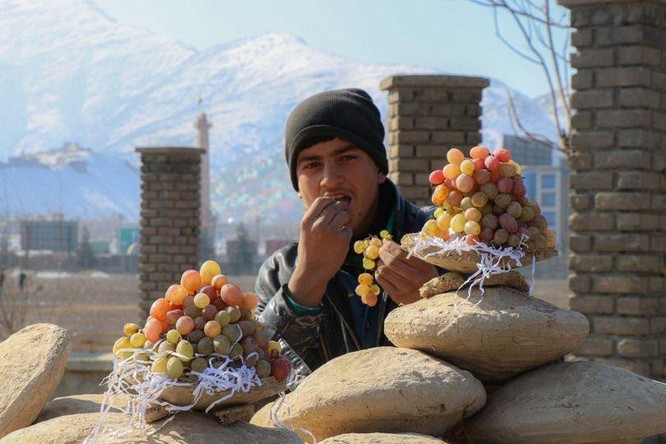 Bảo quản nho tươi hơn 6 tháng mà không cần dùng tủ lạnh, phương pháp đơn giản của người Afghanistan ảnh 2