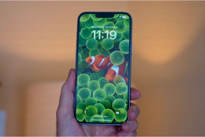 Lý do iPhone 14 Plus trở thành một trong những thất bại công nghệ lớn nhất năm 2022 ảnh 2