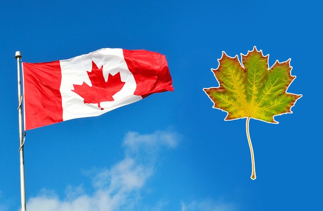 Quốc kỳ Canada là một trong những quốc kỳ độc đáo nhất trên thế giới. Với hình ảnh một chiếc lá phong đỏ trên nền trắng, logo 115 lông vũ, đặc biệt là ý nghĩa đằng sau, lá cờ này không chỉ mang tính biểu tượng mà còn là niềm tự hào của người Canada. Chắc chắn bạn sẽ ấn tượng với những bức ảnh đẹp của lá cờ này.