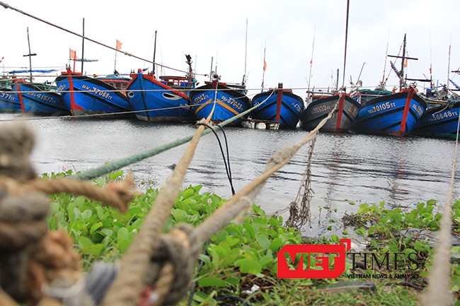 Tính đến thời điểm hiện tại, Đà Nẵng đã có hơn 1.700 phương tiện/6.500 lao động của các tỉnh đã vào neo đậu tại bờ.