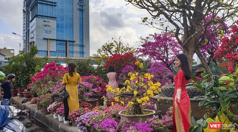 Một góc chợ hoa xuân Tết Canh Tý ở Đà Nẵng