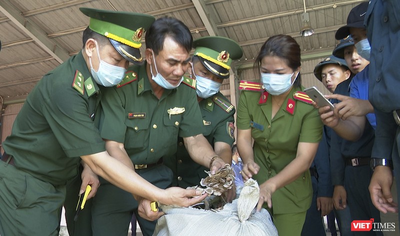 Lực lượng chức năng Đà Nẵng đang kiểm tra lô hàng thảo dược núp bóng rau củ nhập cảnh