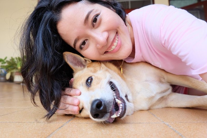 10 lý do nên nhận nuôi một chú cún vào năm 2018 ảnh 4 10 lý do nên nhận nuôi một chú cún vào năm 2018 ảnh 4
